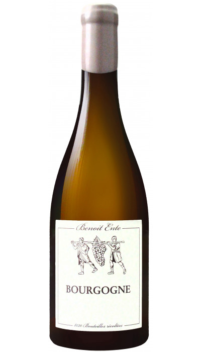 Bourgogne blanc 2019