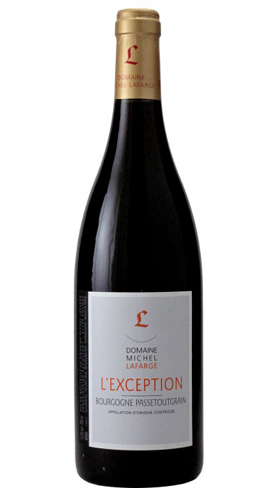 Bourgogne Passetoutgrain l'Exception 2019