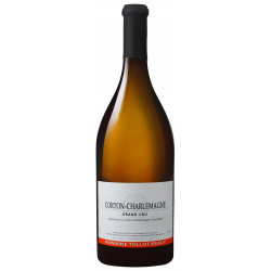 Corton-Charlemagne 2023