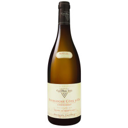 Bourgogne Côte d'Or Chardonnay Le Vieux Clos 2020
