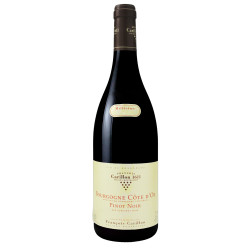 Bourgogne Côte d'Or Pinot Noir 2020