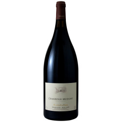 Chambolle-Musigny 2021 Magnum