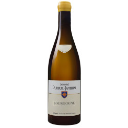 Bourgogne Blanc 2020