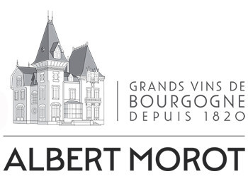 Albert Morot